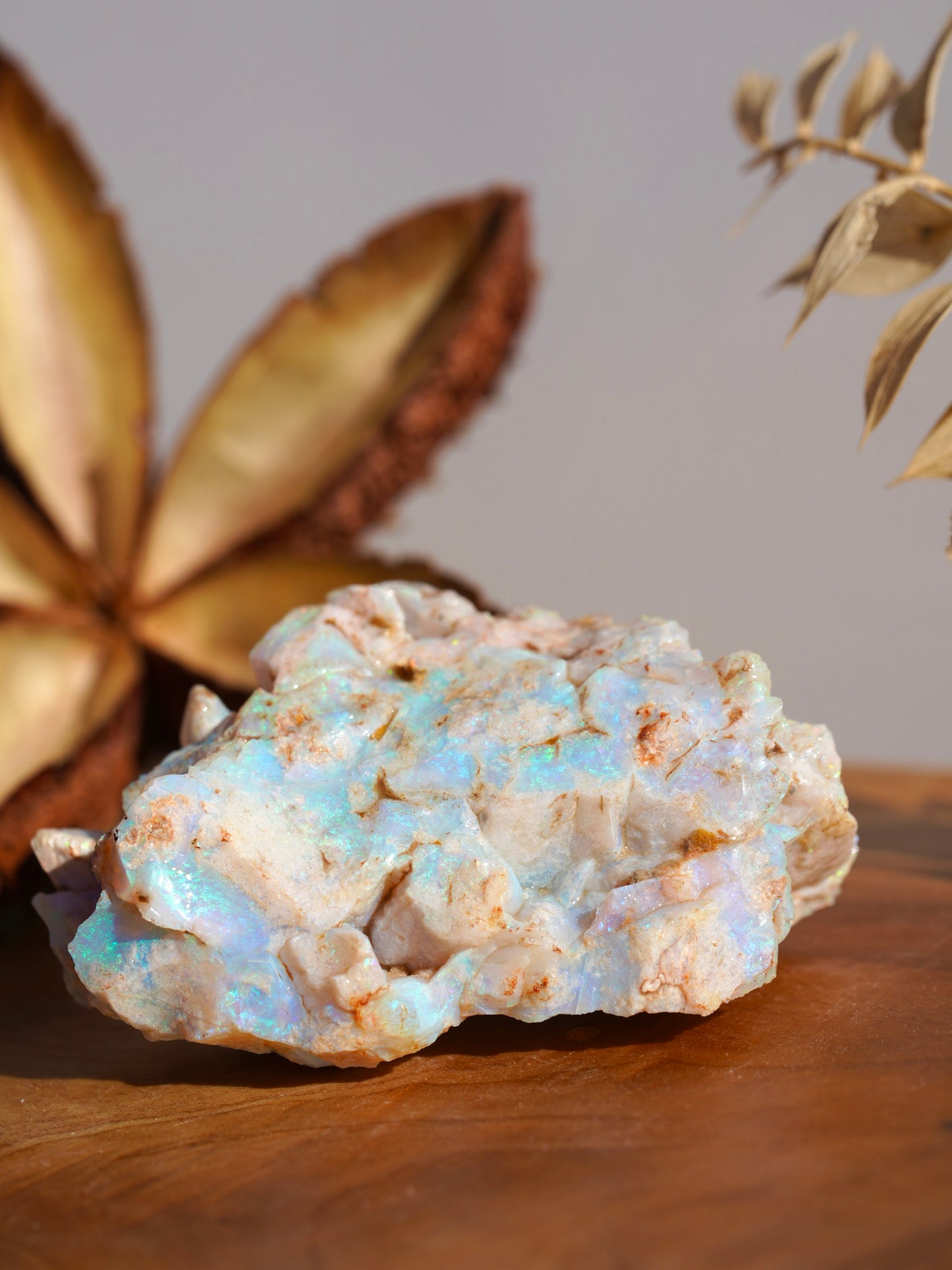 'Mossy Log' - Opal Pineapple Segment