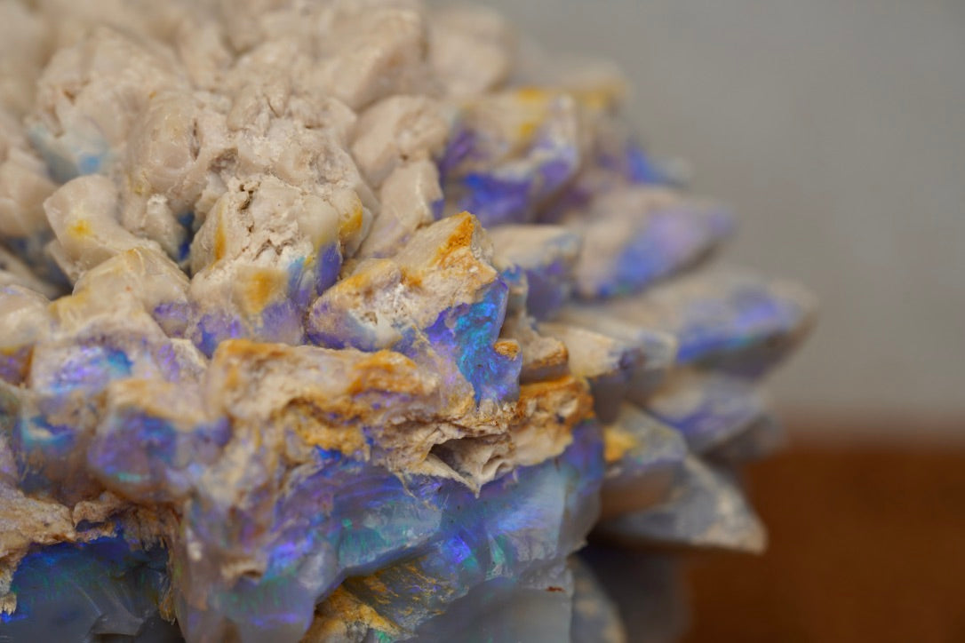 'Blue Abyssal' - Opal Pineapple