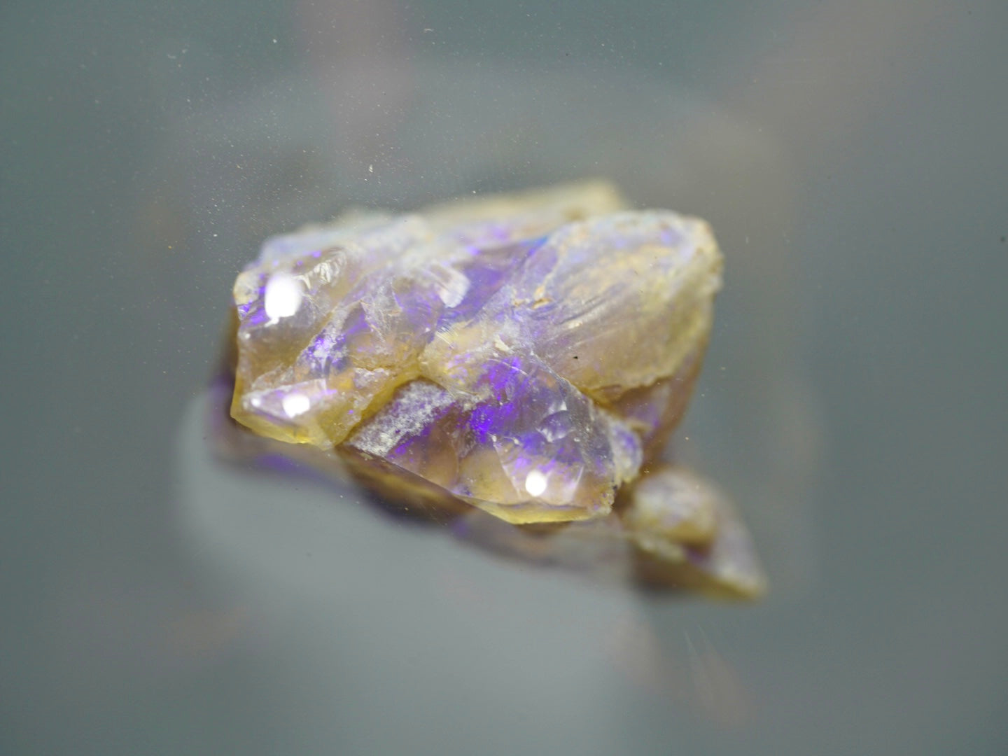Opal Pineapple segment
