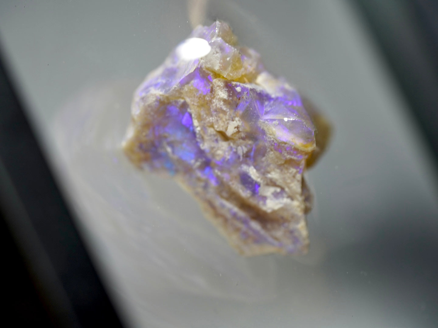 Opal Pineapple segment
