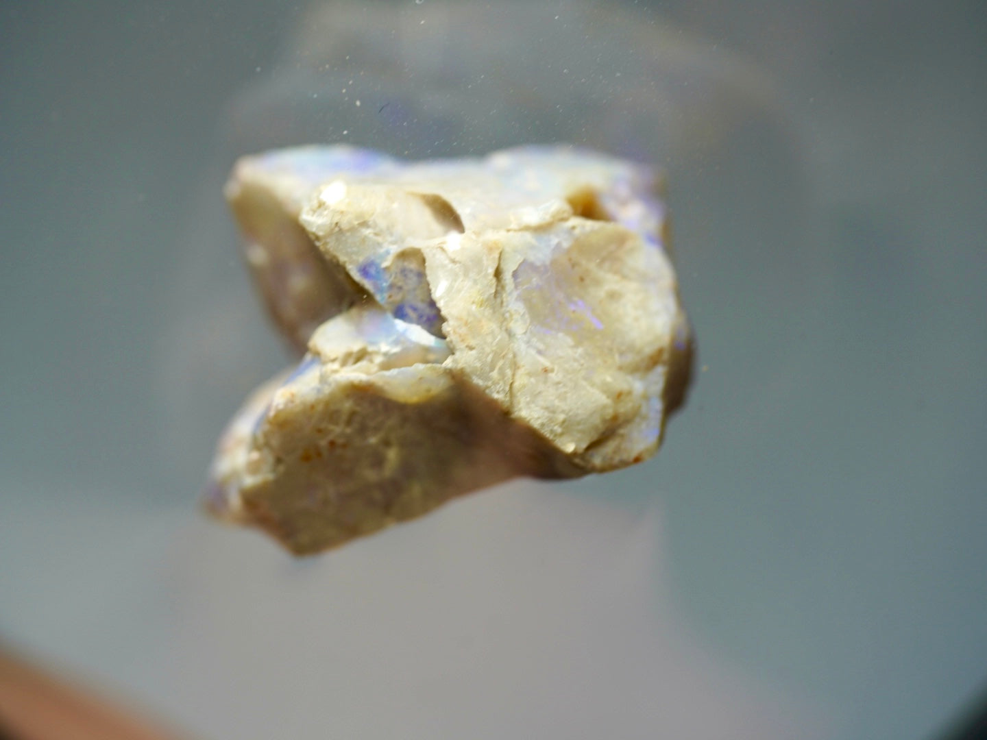 Opal Pineapple segment