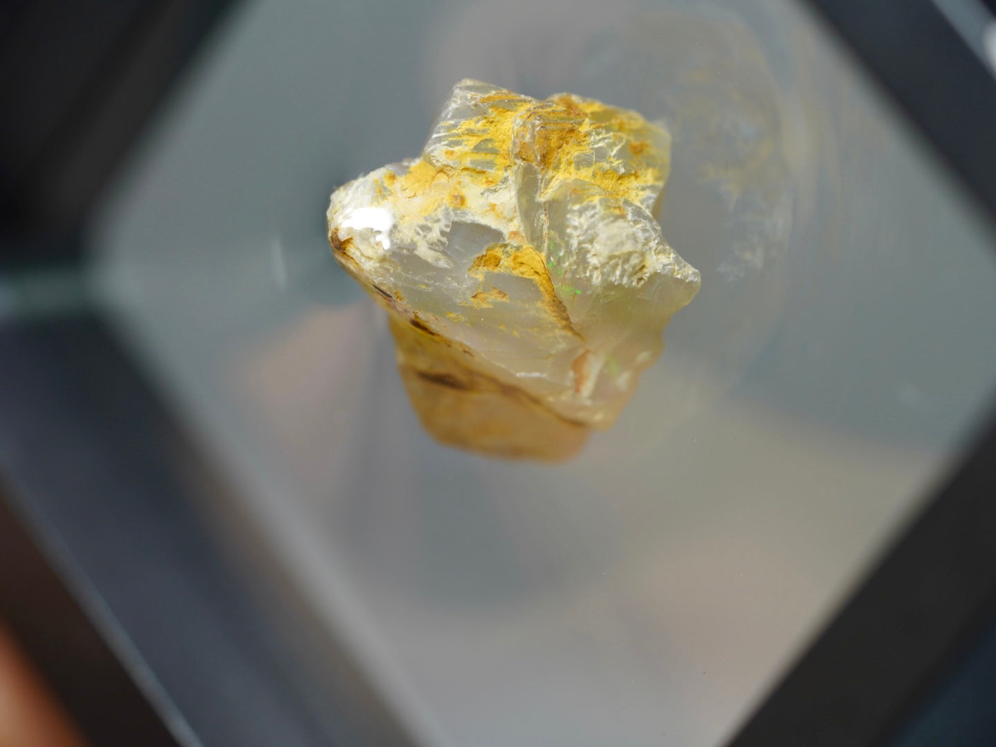 Opal Pineapple segment