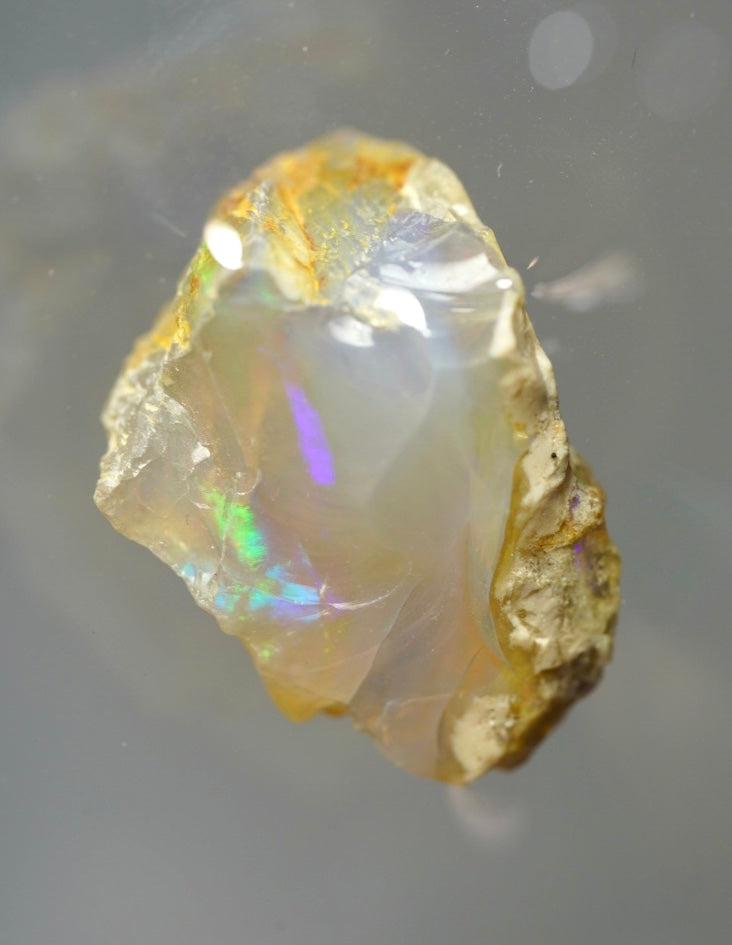 Opal Pineapple segment