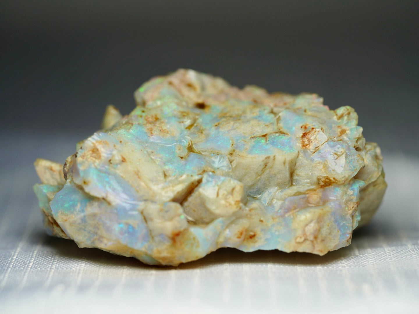 'Mossy Log' - Opal Pineapple Segment