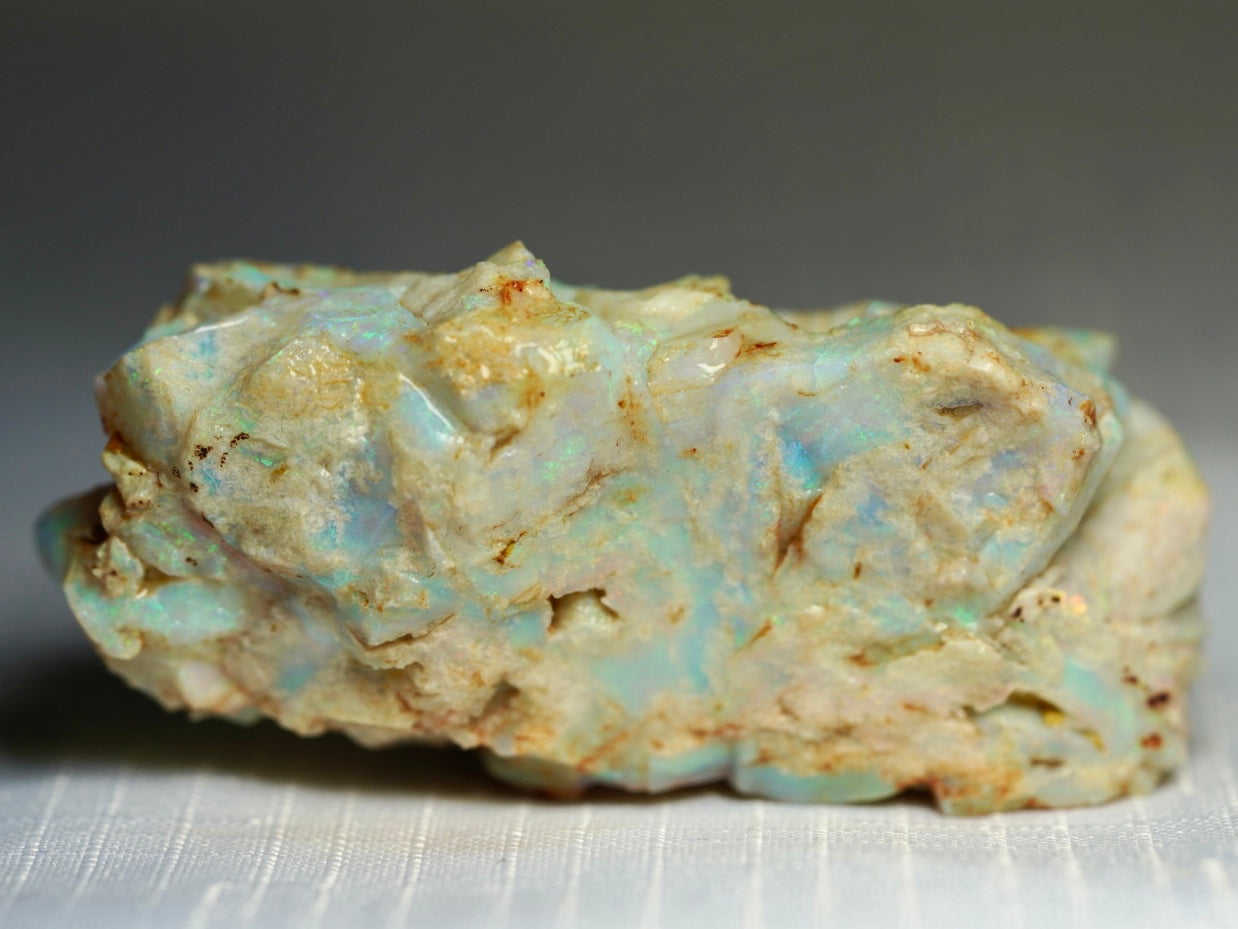 'Mossy Log' - Opal Pineapple Segment