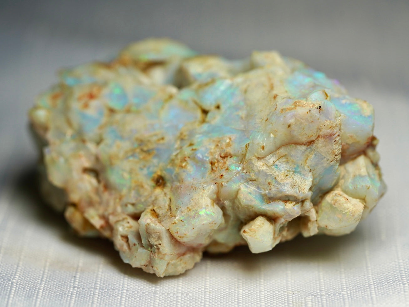 'Mossy Log' - Opal Pineapple Segment