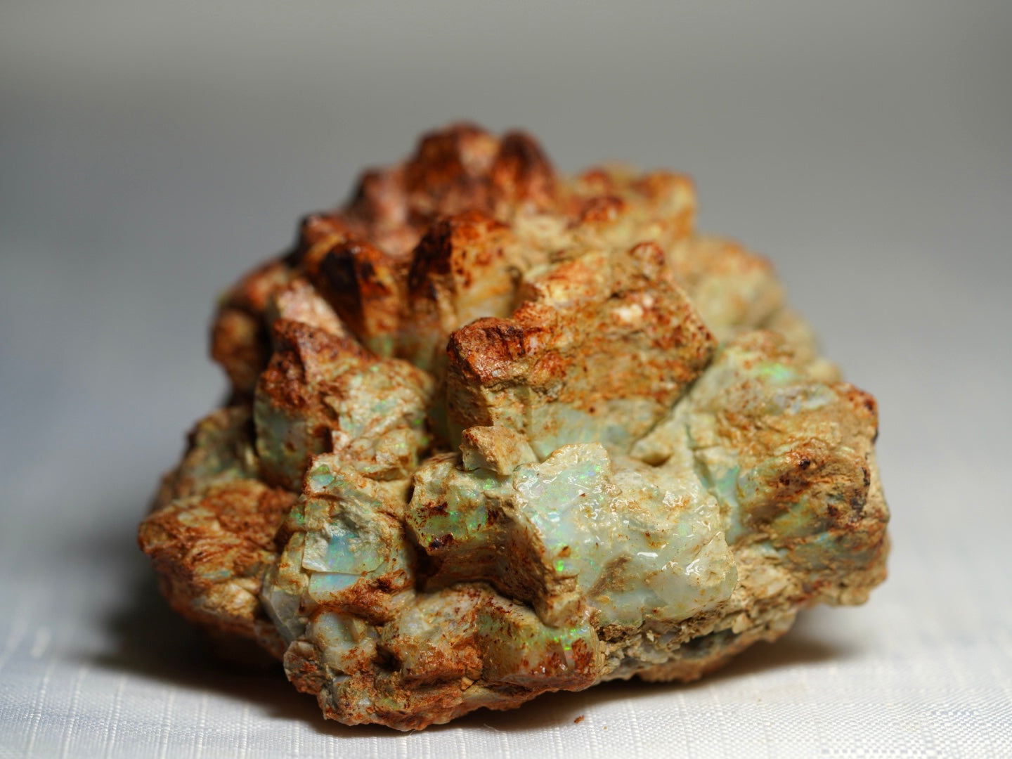 'Rocky Mountain'- Opal Pineapple