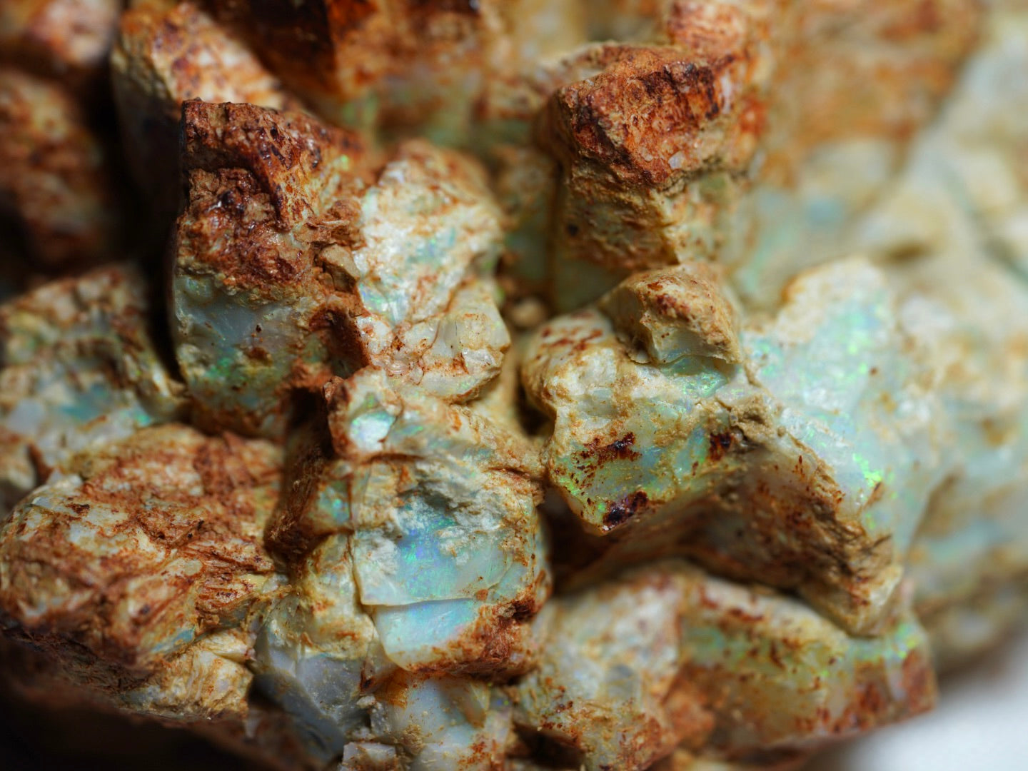 'Rocky Mountain'- Opal Pineapple