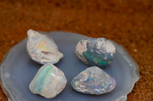 Opal Shell Fossil Pippi x 4