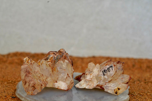 'Dragon Scales' - Opal Pineapple Segment