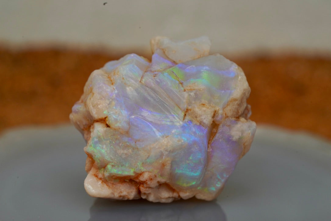 'Sea Dragon Eggs' - Opal Pineapple Segment