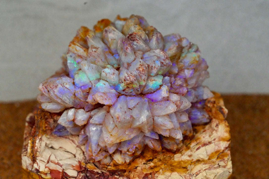 'Bifröst' - Opal Pineapple