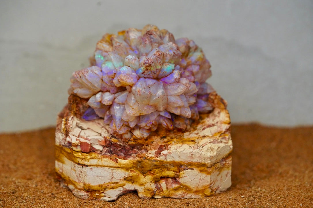 'Bifröst' - Opal Pineapple