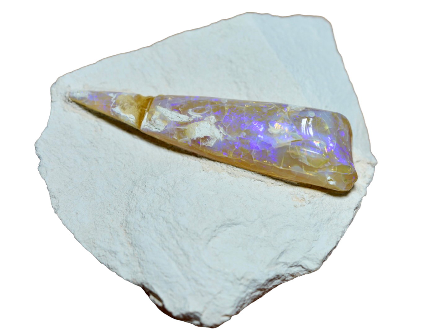 Opal Belemnite Fossil