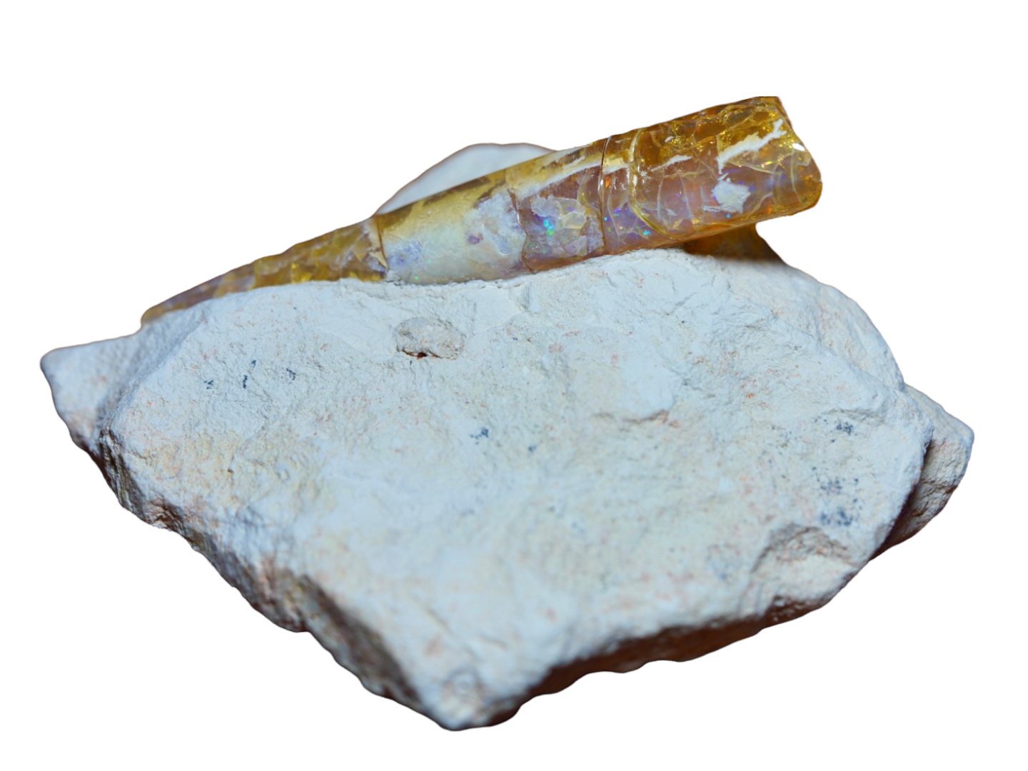 Opal Belemnite Fossil