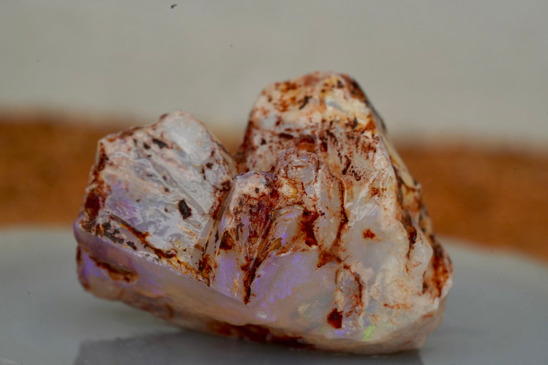 'Sea Dragon Eggs' - Opal Pineapple Segment
