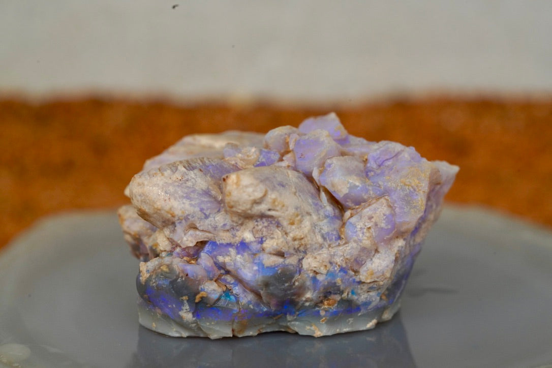 'Sea Dragon Eggs' - Opal Pineapple Segment