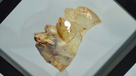 Opal Pineapple segment