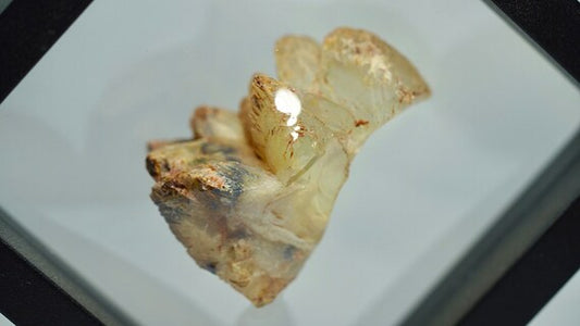 Opal Pineapple segment