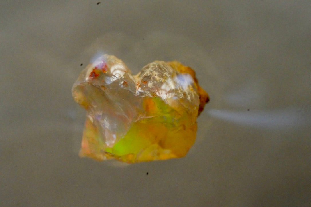Opal Pineapple segment