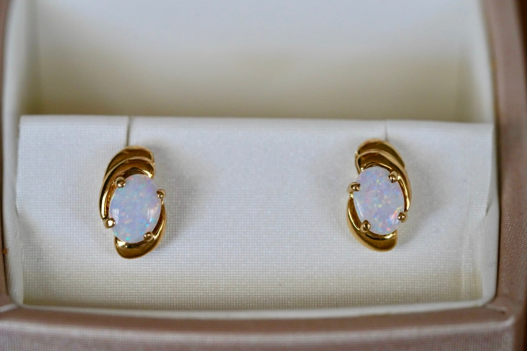 Opal Solid Earrings #3019