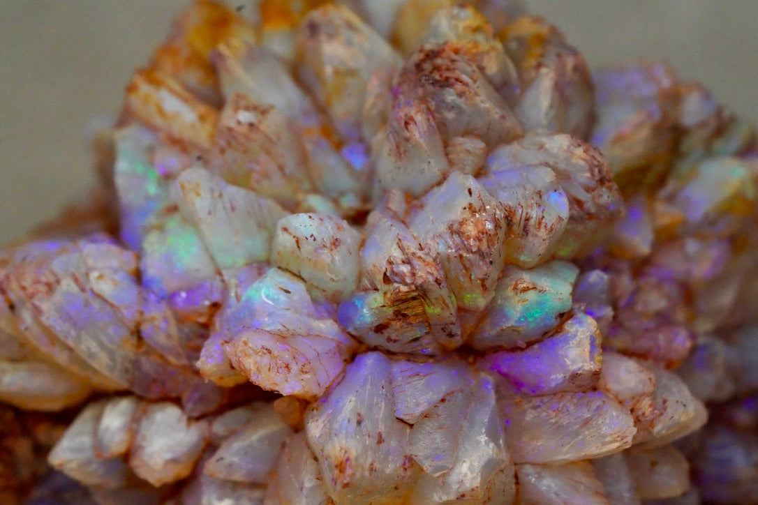 'Bifröst' - Opal Pineapple