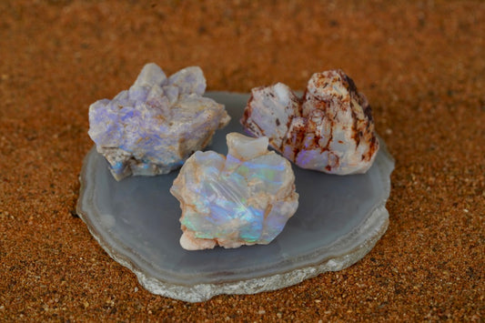 'Sea Dragon Eggs' - Opal Pineapple Segment